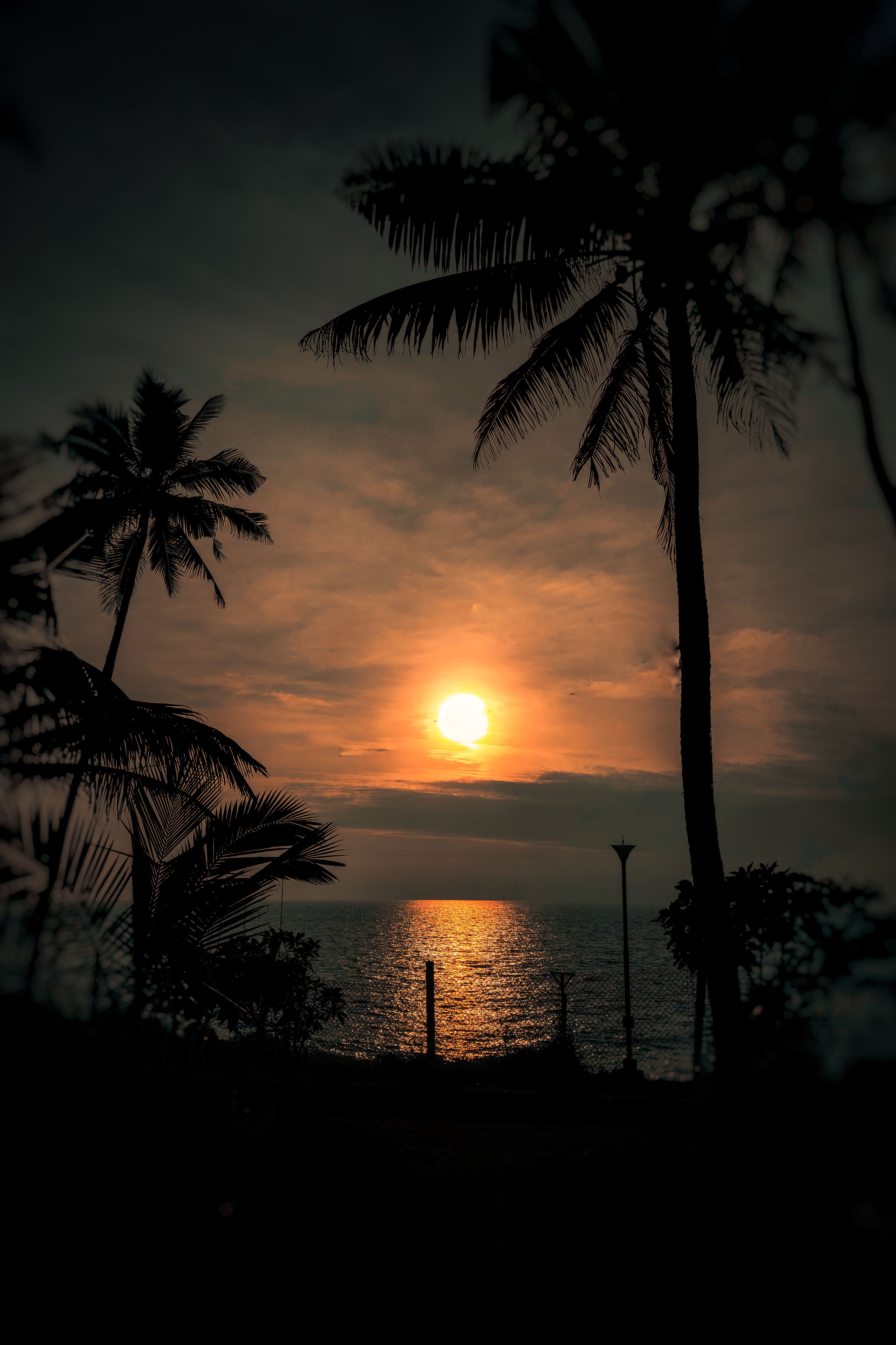 Tropical Beach Sunset Silhouette with Palm Trees · Free Stock Photo