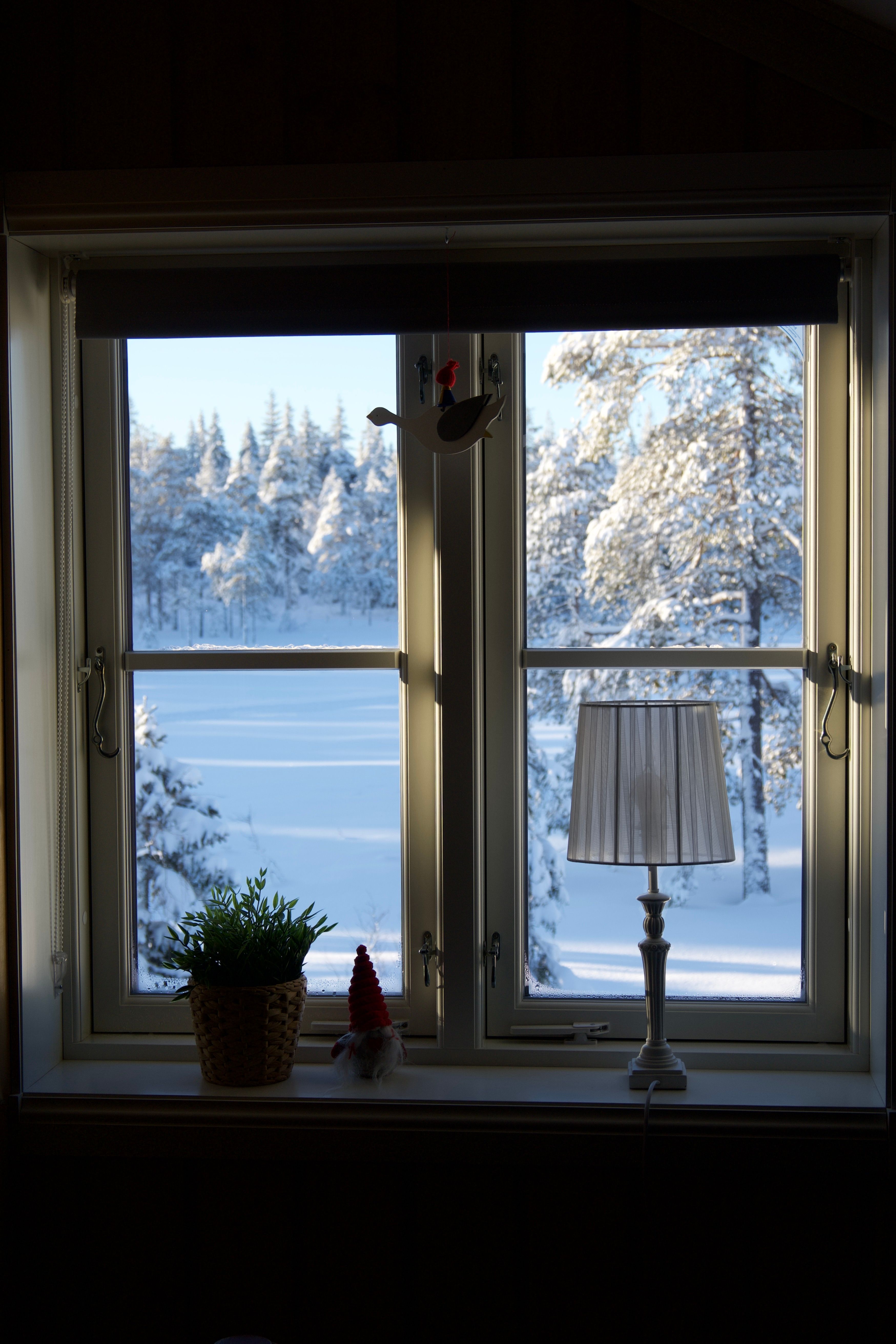 A cosy Swedish winter view through a snow-covered window in Varmland, Sweden — birch trees, pine forest and deep snow outside