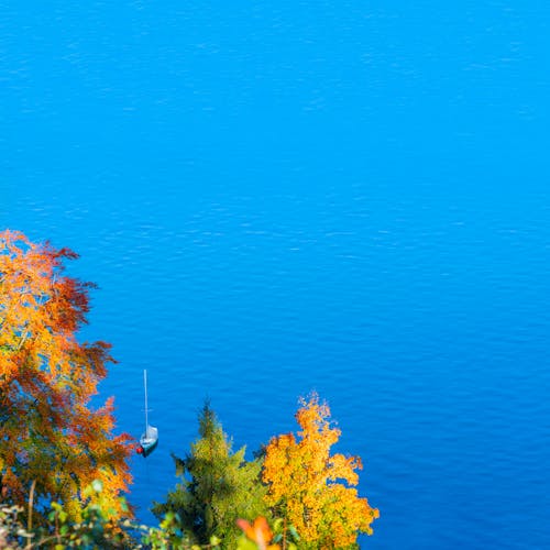 Free stock photo of austria, autumn, blue water