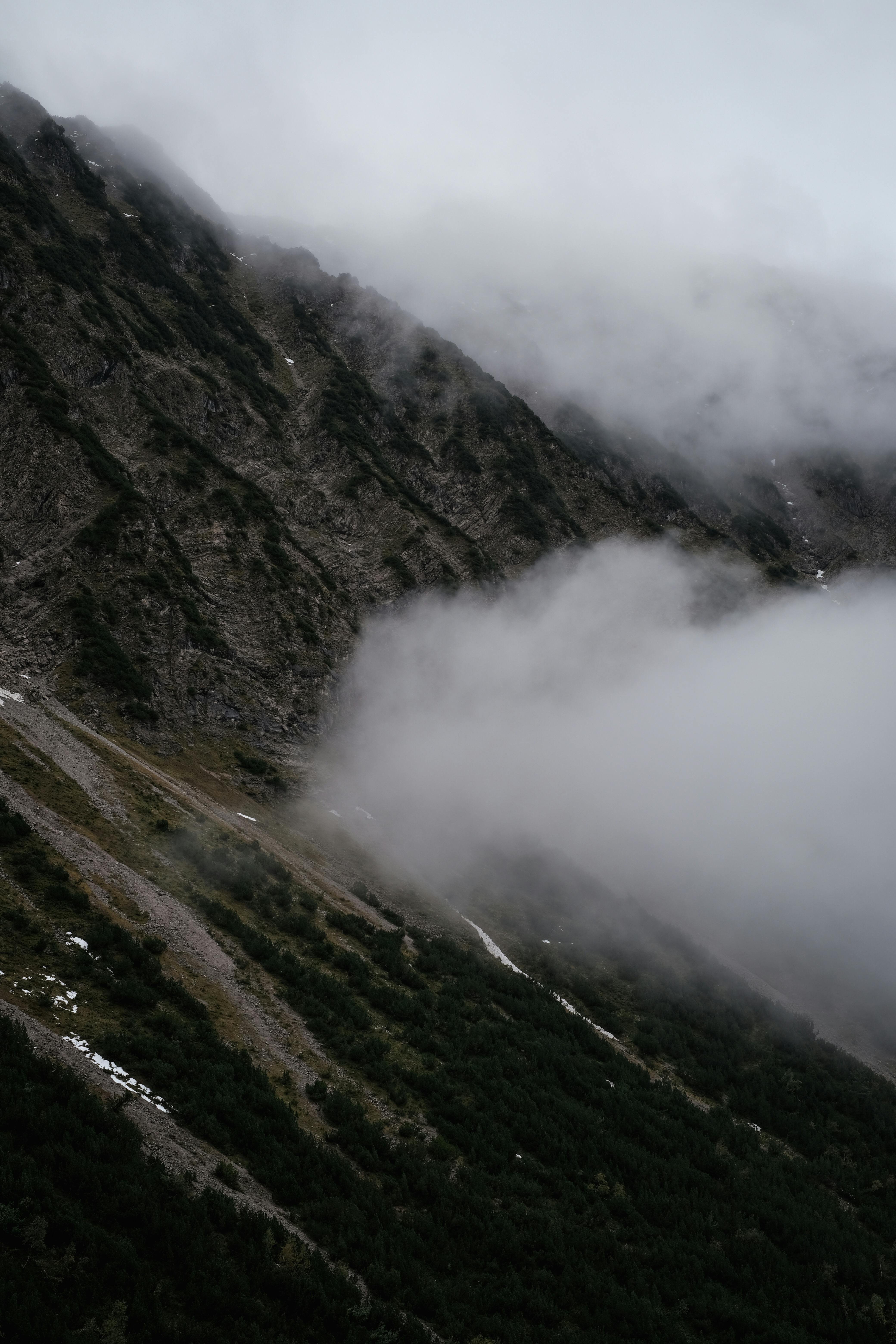 A dramatic view of a misty mountain slope covered with dense greenery and encroaching clouds.