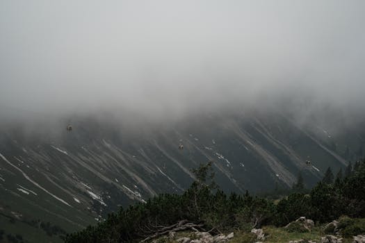 img0