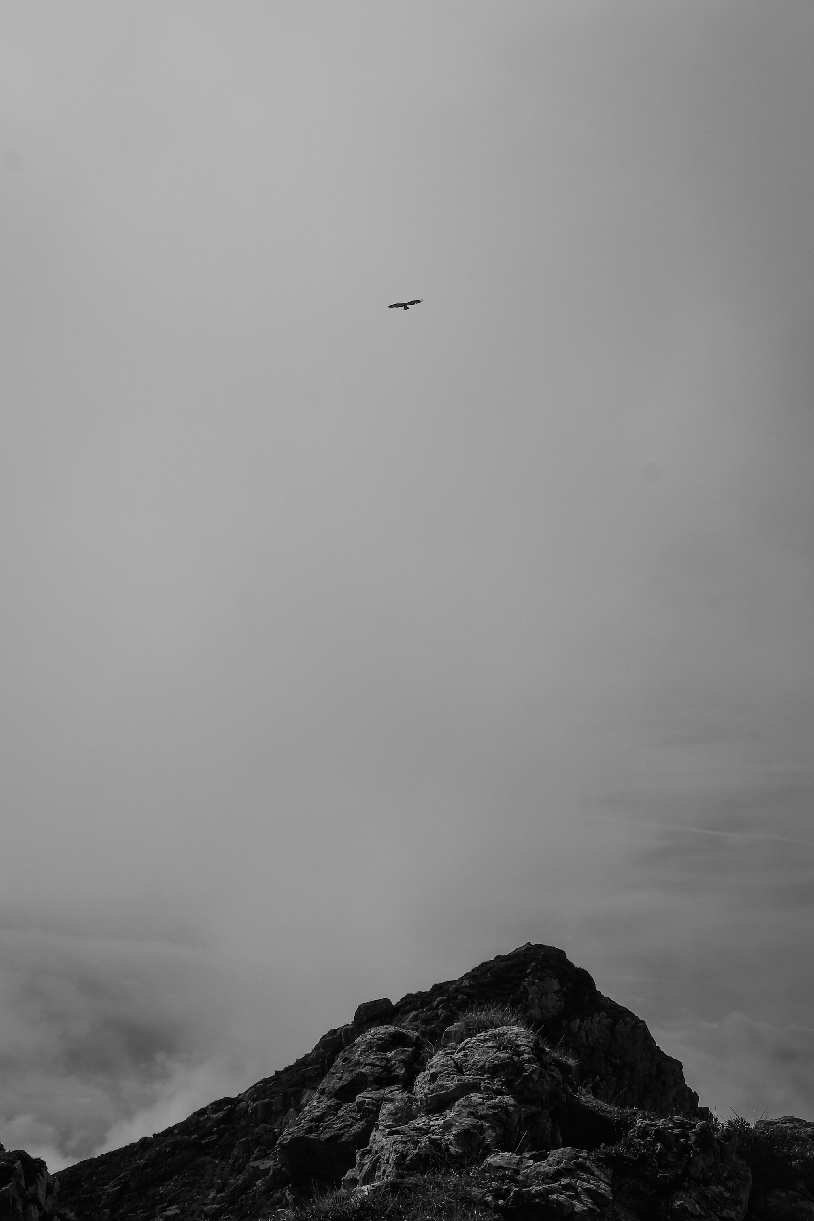 Dramatic Black and White Mountain Landscape · Free Stock Photo