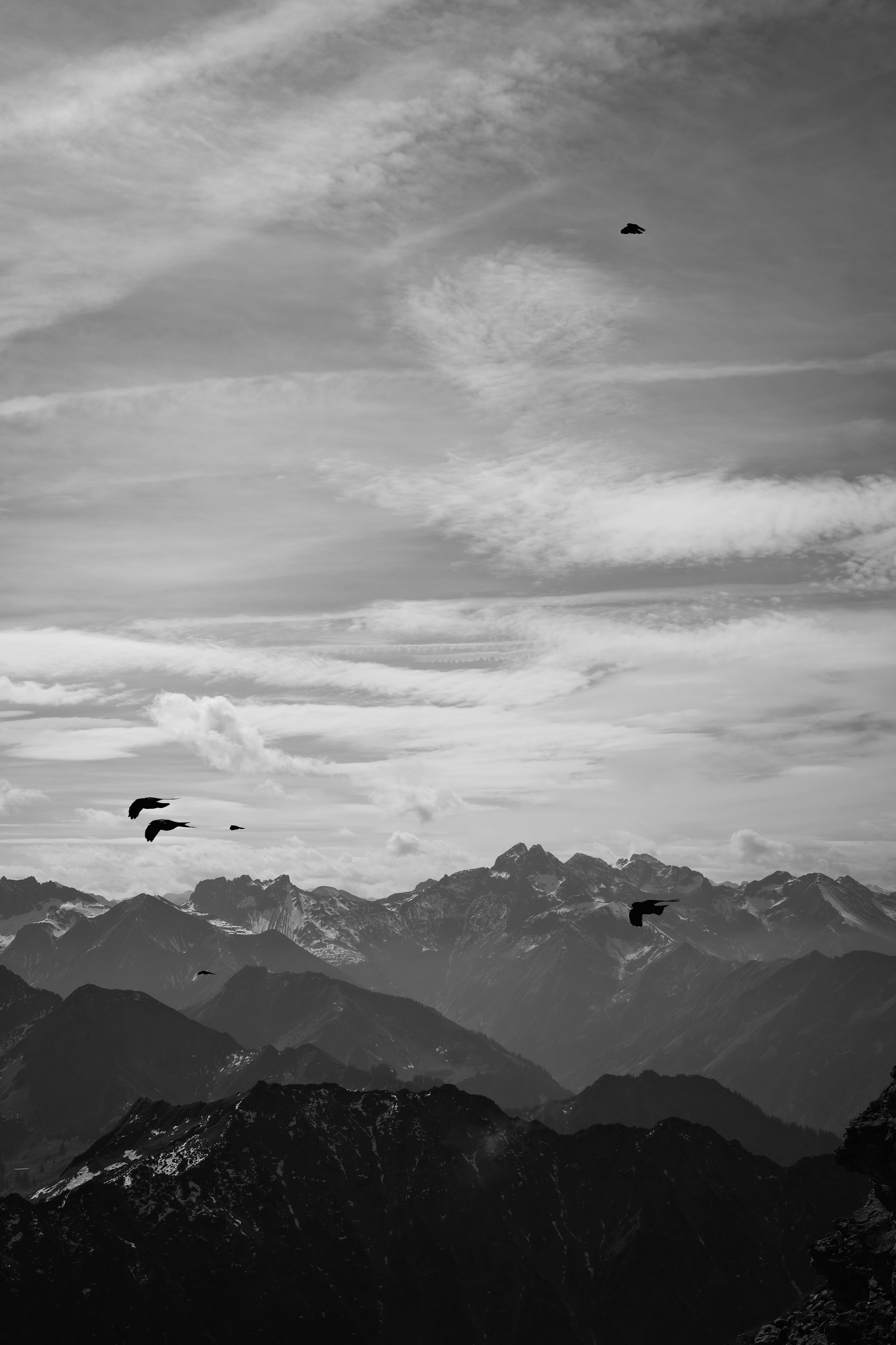 250px Height Photos, Download The BEST Free 250px Height Stock Photos ...