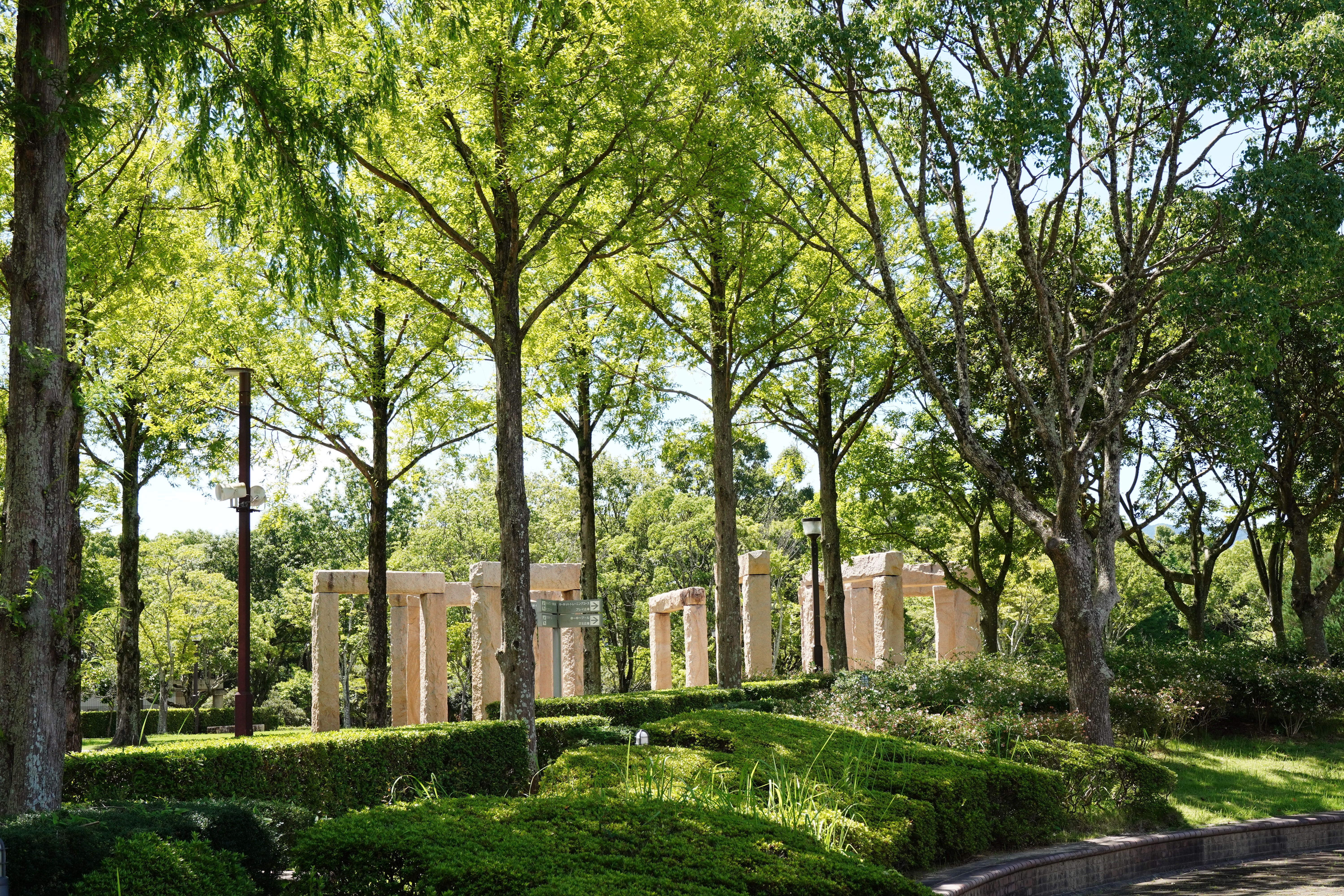 A Gentle Day at a Nearby Botanical Garden: A Step‑by‑Step Guide for Adults 80+ and Their Families