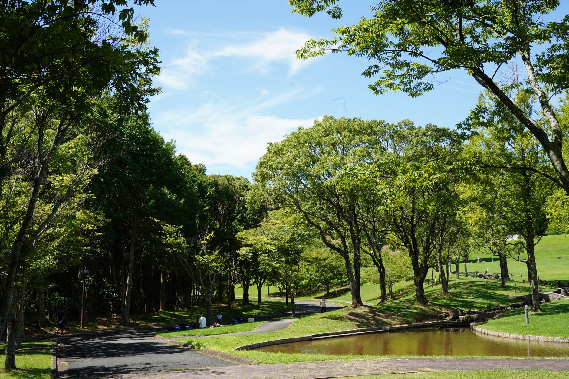 梅田観光で自然や景色を楽しめるスポット