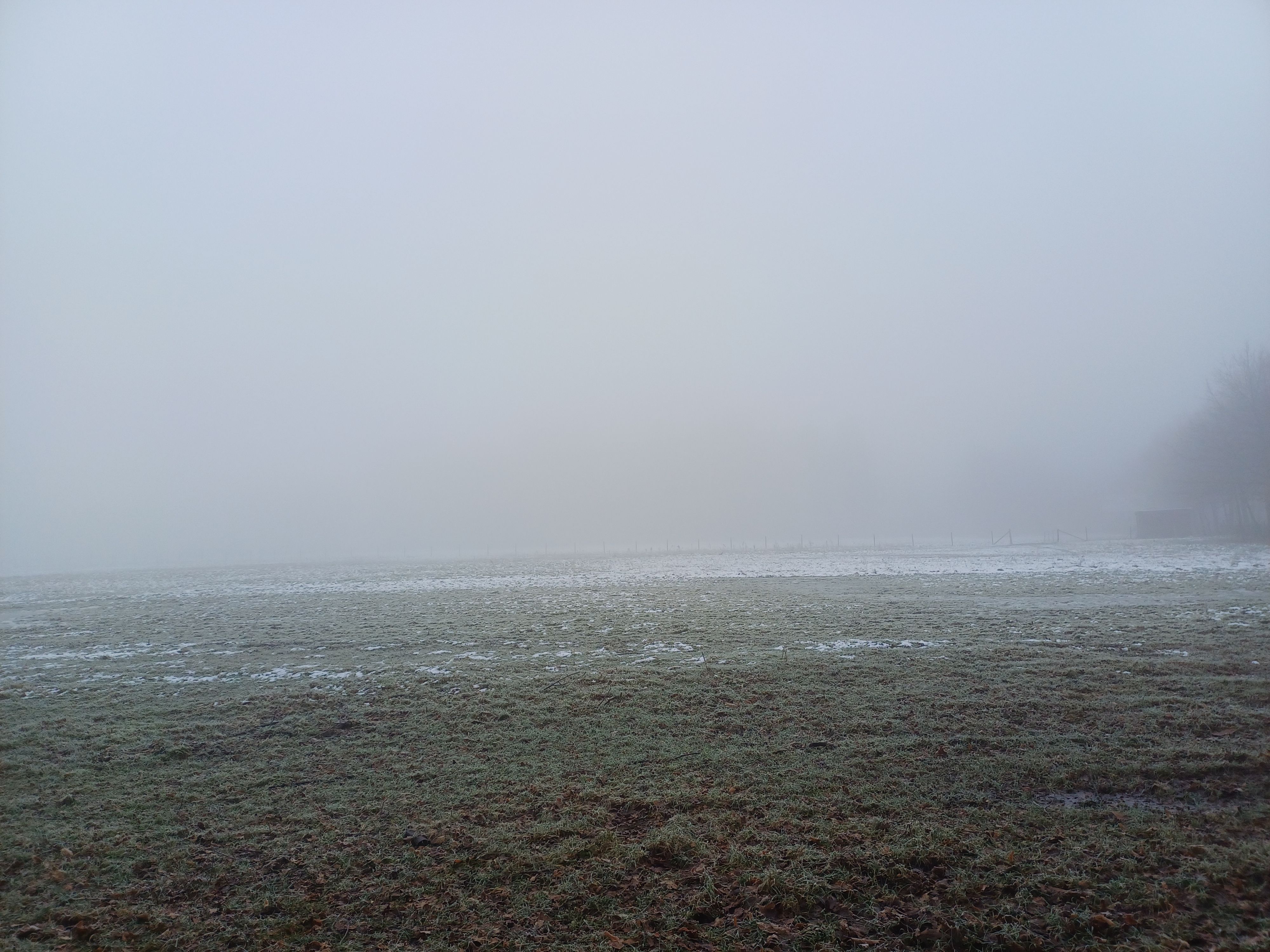 Misty Winter Landscape with Sparse Snow Cover · Free Stock Photo