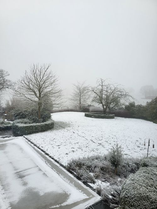 Free Scenic winter view of a snowy landscape in Geel, Belgium showcasing trees and shrubs. Stock Photo
