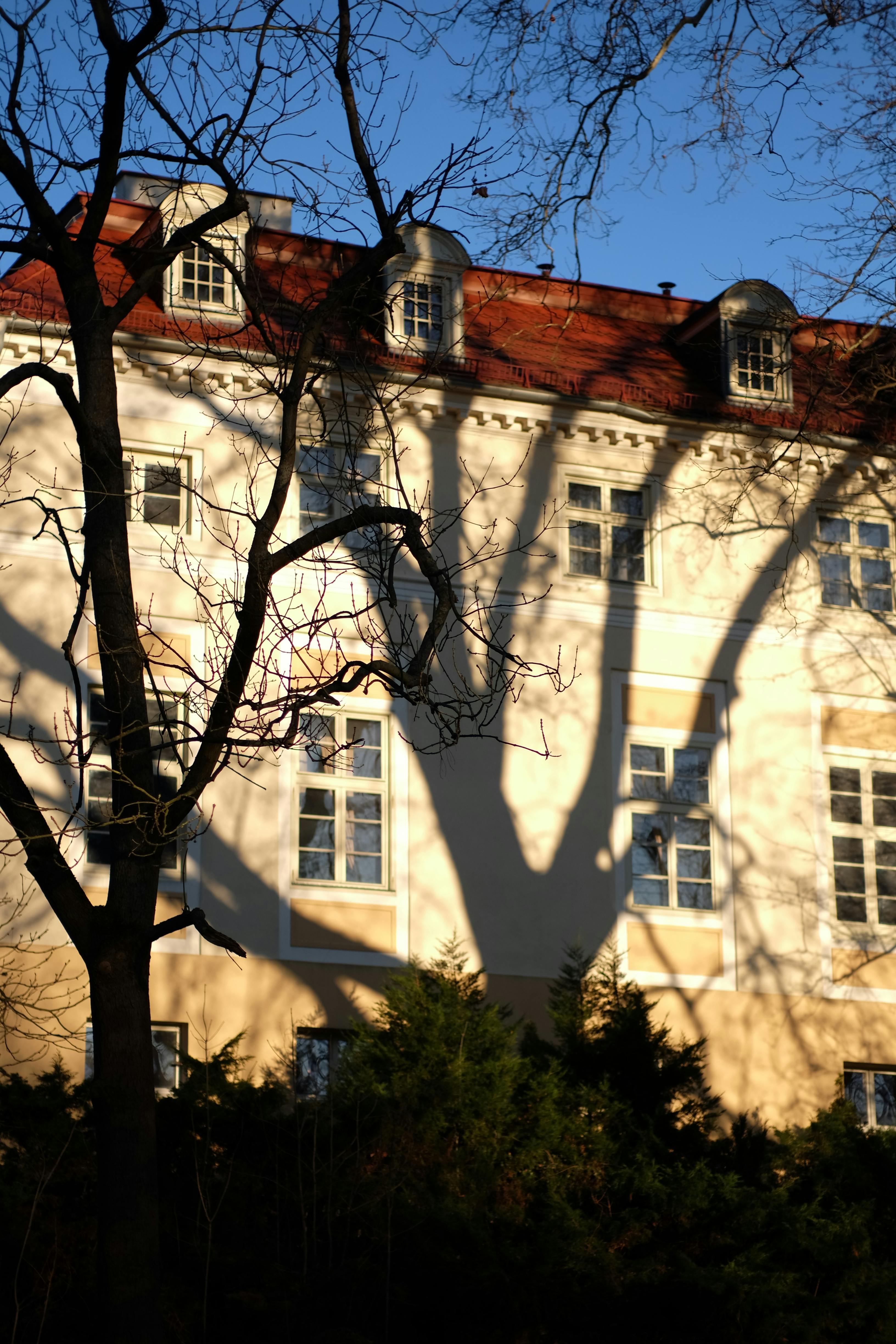 Sunlight casts tree shadows on a historic building facade in early morning light.