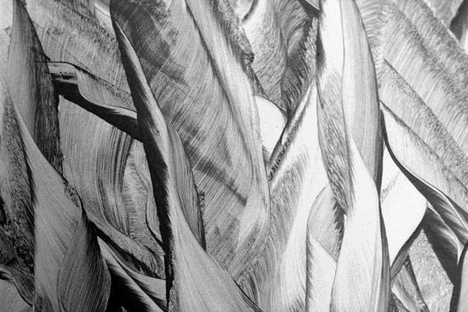 Intricate abstract design with bold lines and textures in monochrome tones, creating a dynamic visual experience.