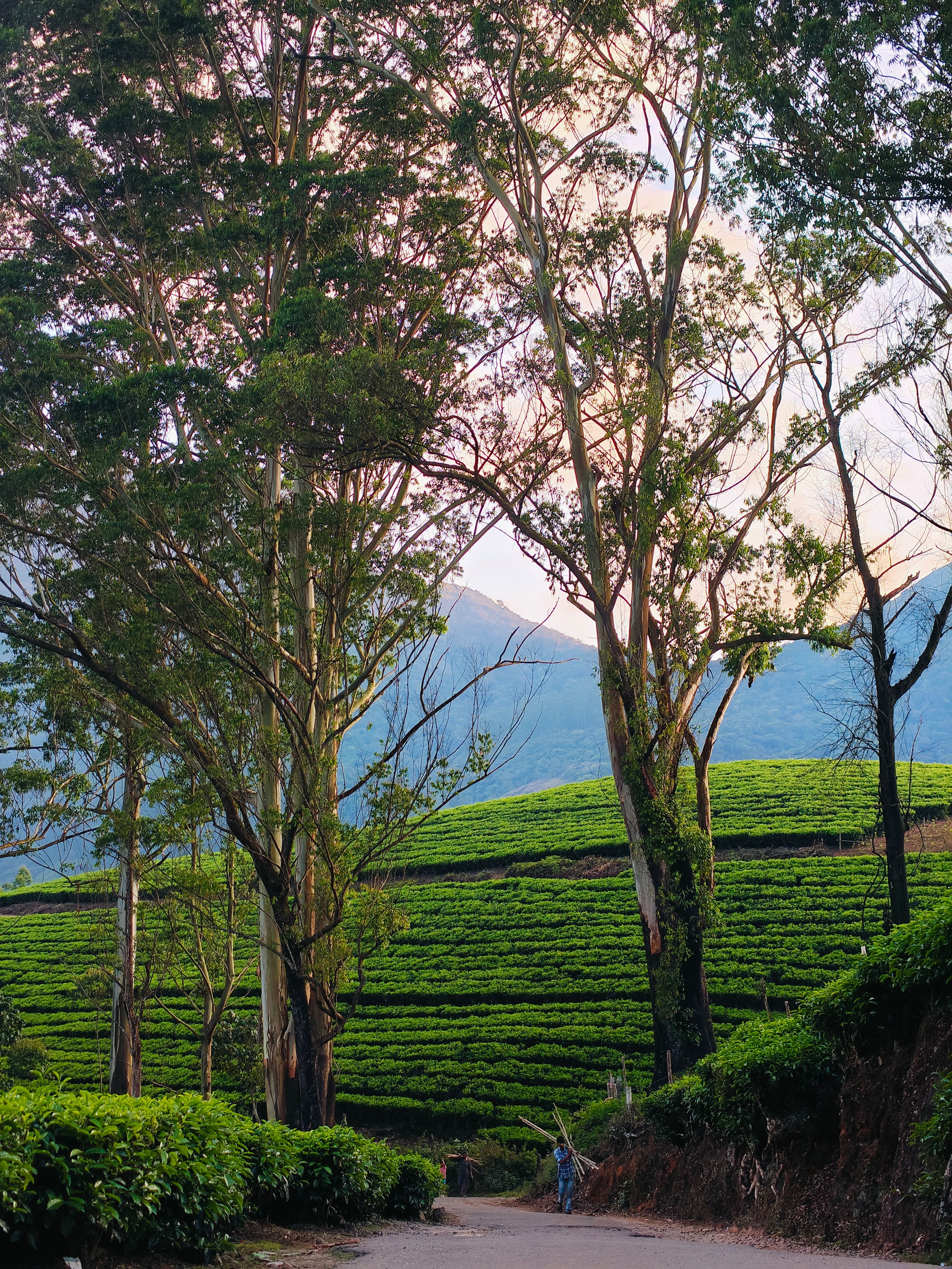 Coorg departure refreshed