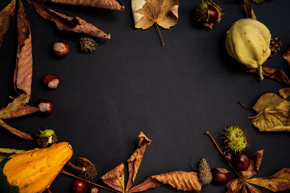 A captivating autumn still life featuring dry leaves, gourds, and chestnuts on a dark background.