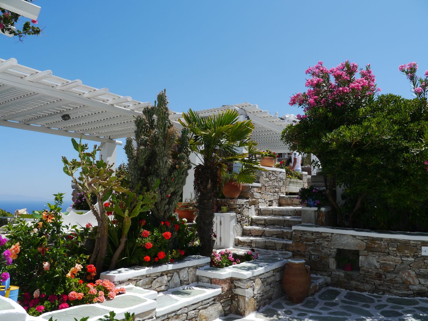 Mediterrane tuin met stenen paden