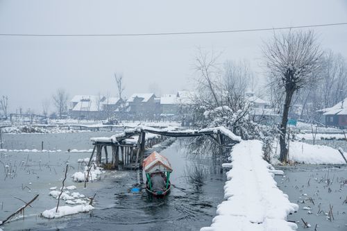 Free Serene winter landscape of Dal Lake with snow-covered trees and traditional shikara in Kashmir. Stock Photo