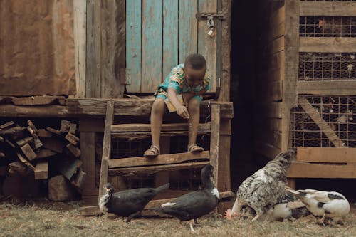 Boy Feeding Ducks