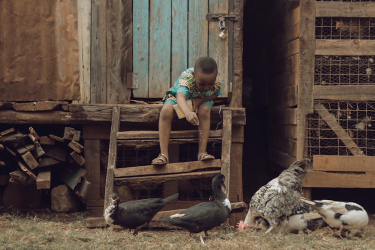 Boy Feeding Ducks