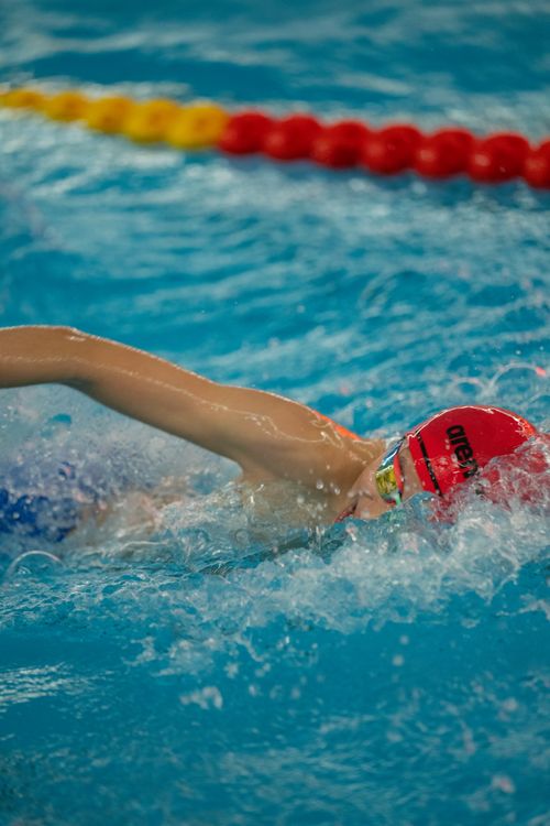 Free Freestyle swimmer in action at a swim meet, showcasing athleticism and speed. Stock Photo