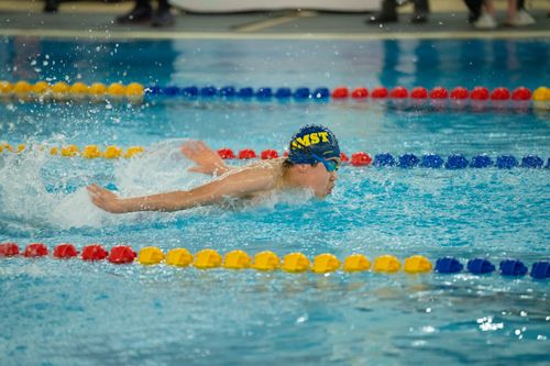 Free Athlete performing butterfly stroke in a colorful indoor swimming pool race. Stock Photo