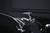 Elegant Chrome Car Hood Ornament in Close-Up