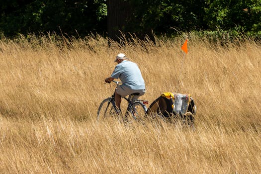 A man cycling through a serene, sunlit field of dry grass with an orange flag waving behind.