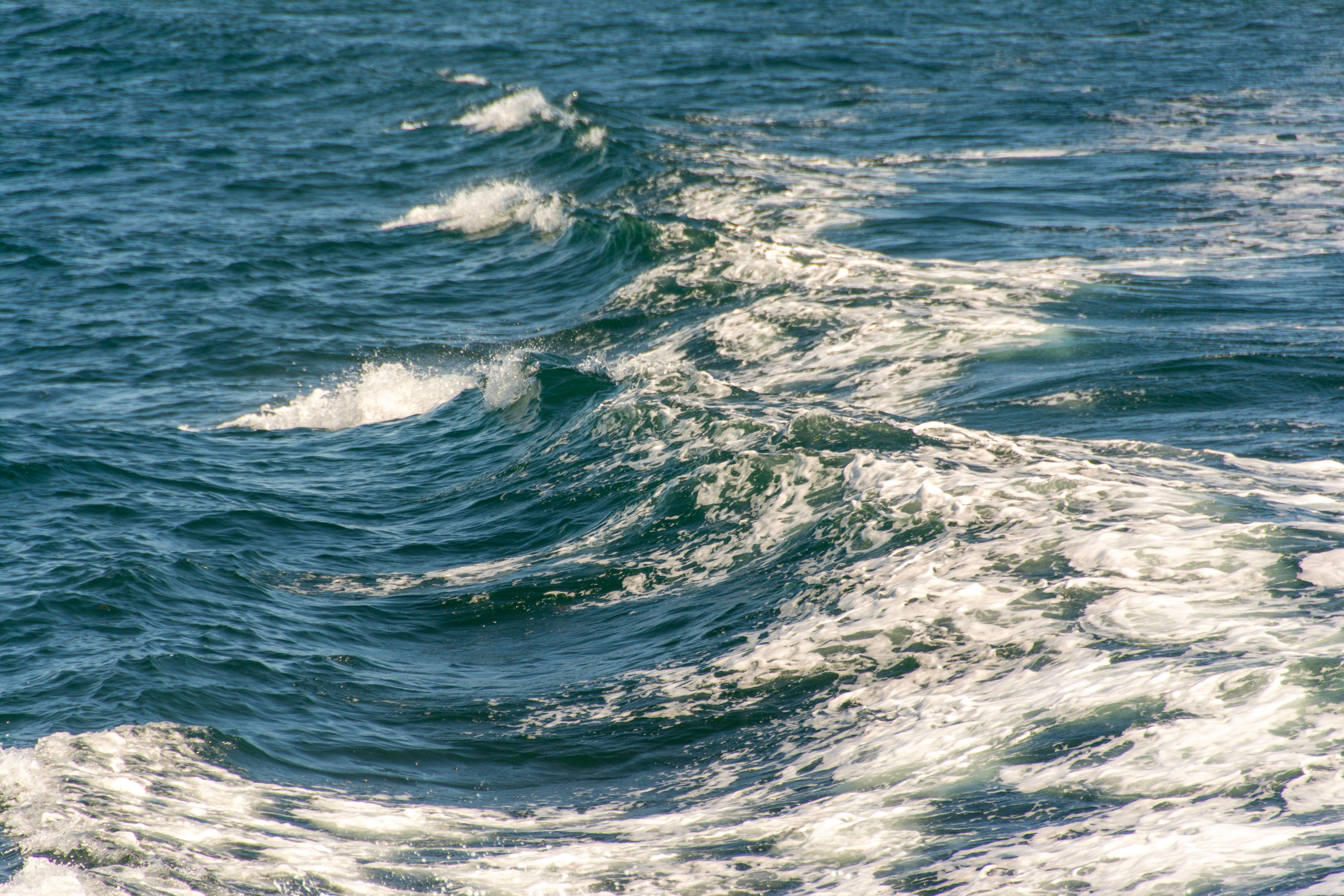Dynamic Ocean Waves with White Foam · Free Stock Photo