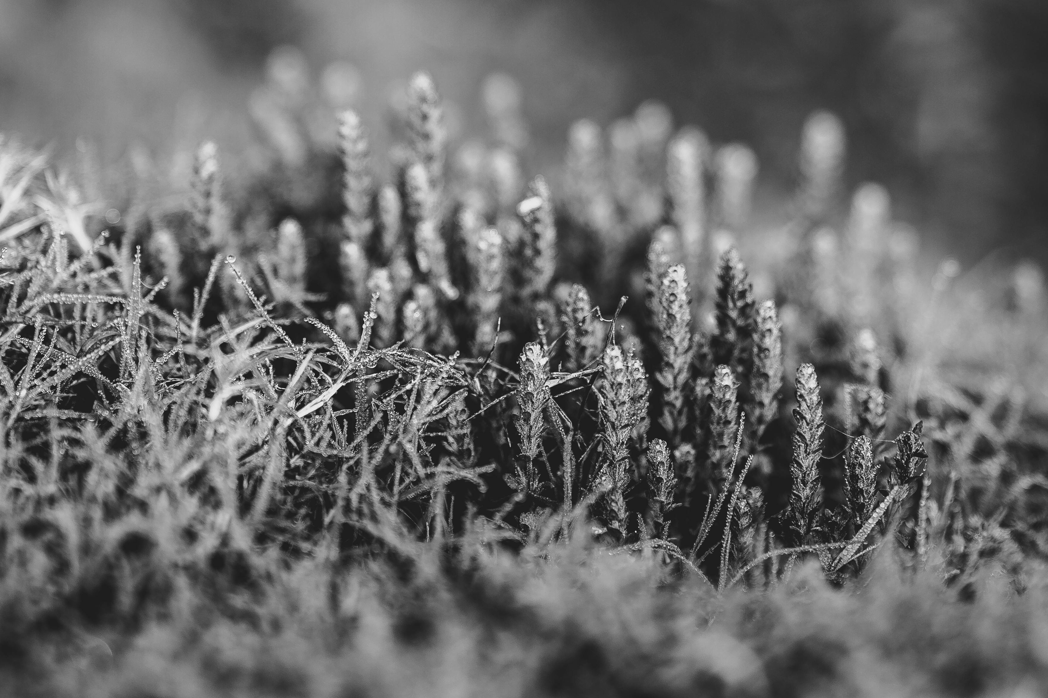 Chut Ki Photo Photos Download The BEST Free Chut Ki Photo Stock Photos Chut Ki Photo Photos Download The BEST Free Chut Ki Photo Stock Photos