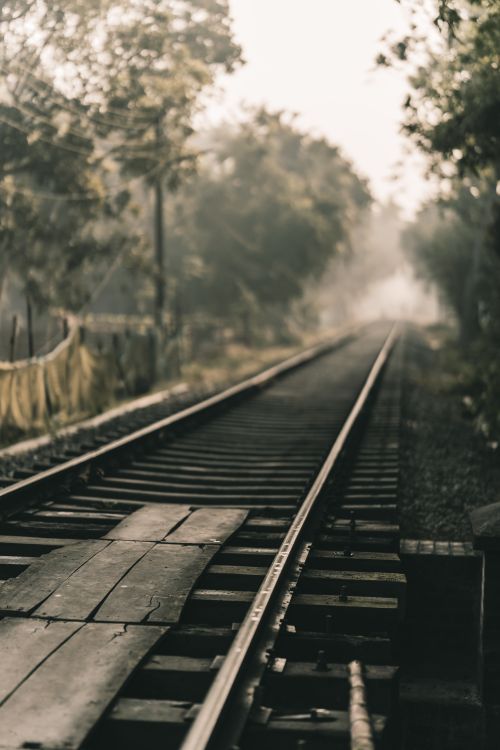 Free Misty morning view of rustic railway tracks surrounded by nature in Faridpur, Bangladesh. Stock Photo