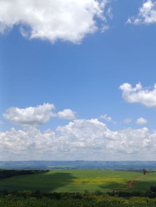 Free The Horizon Stock Photo
