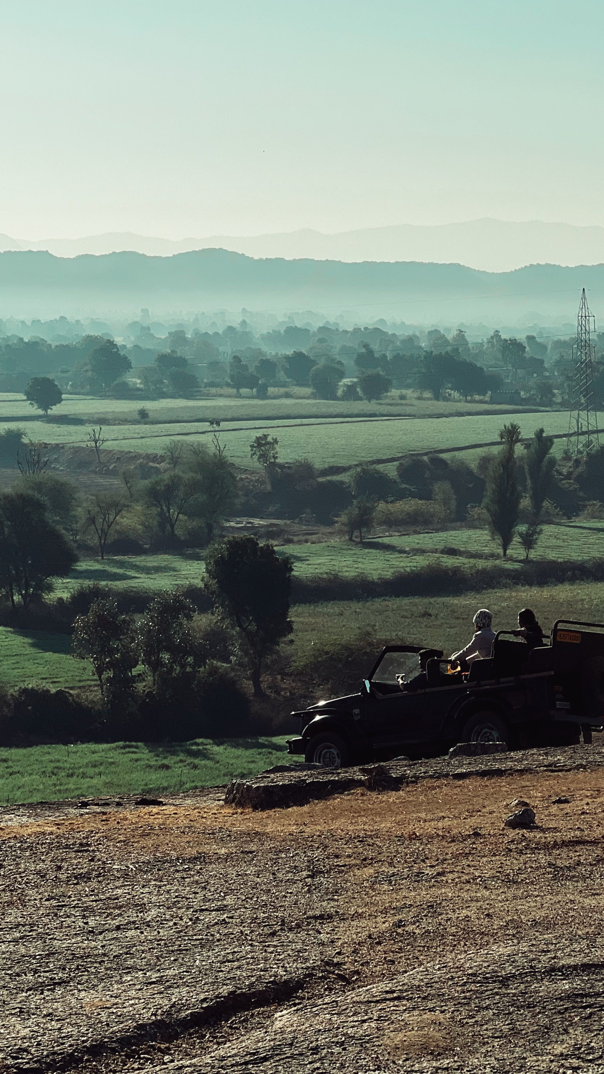 Explore vast green landscapes on a safari adventure through misty hills.