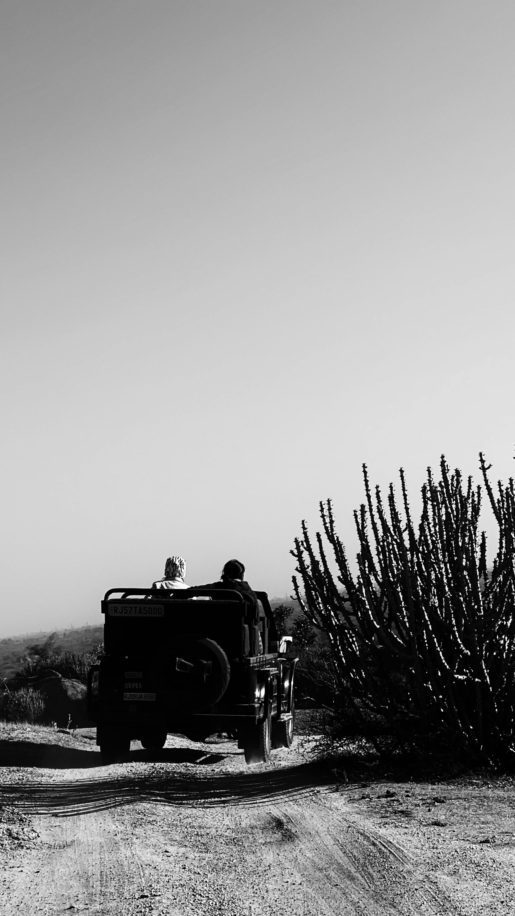 A black and white image of an open jeep on a safari road.