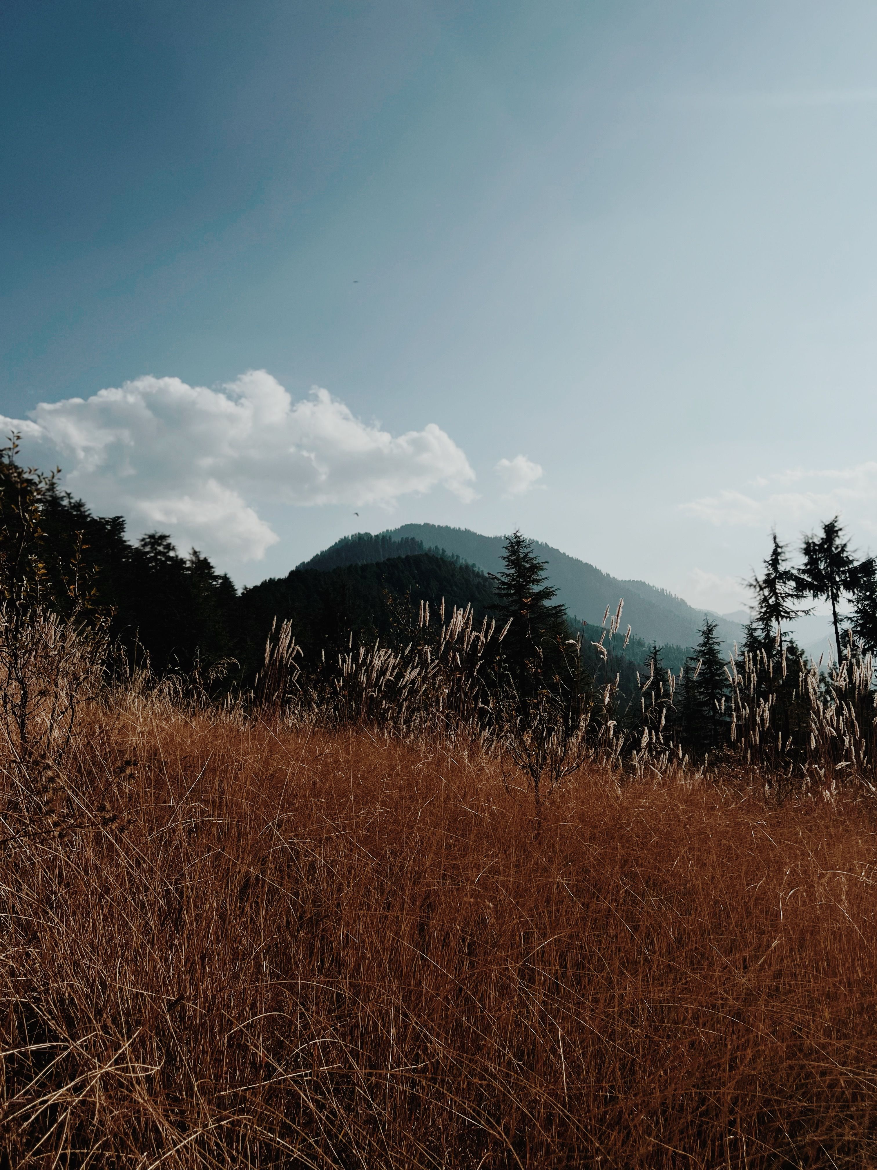 Five Key Initiatives for Regional Tourism Recovery