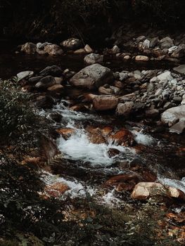 Image by Manish Jangid