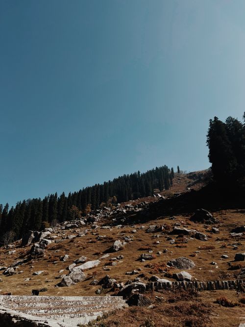 Free A serene mountain landscape featuring pine trees and rocky terrain under a clear blue sky. Stock Photo