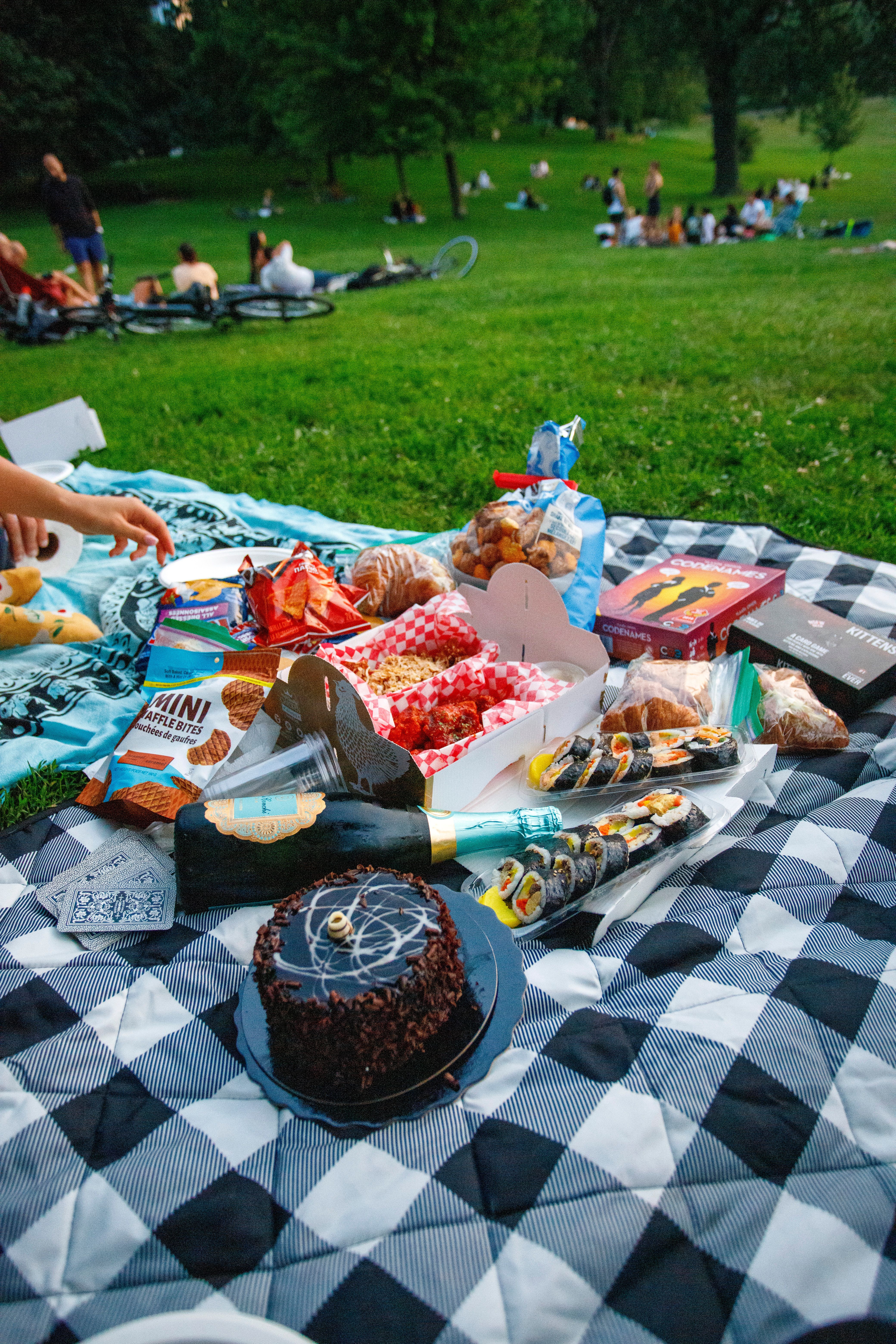 Outdoor Picnic with Assorted Snacks in Park · Free Stock Photo