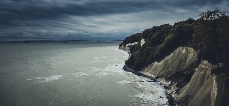 Moody view of Baltic Sea cliffs with lush forest in autumn.