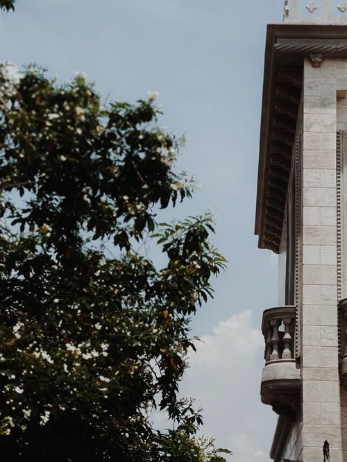 Free A classic architectural balcony beside a lush blooming tree under a clear sky. Stock Photo