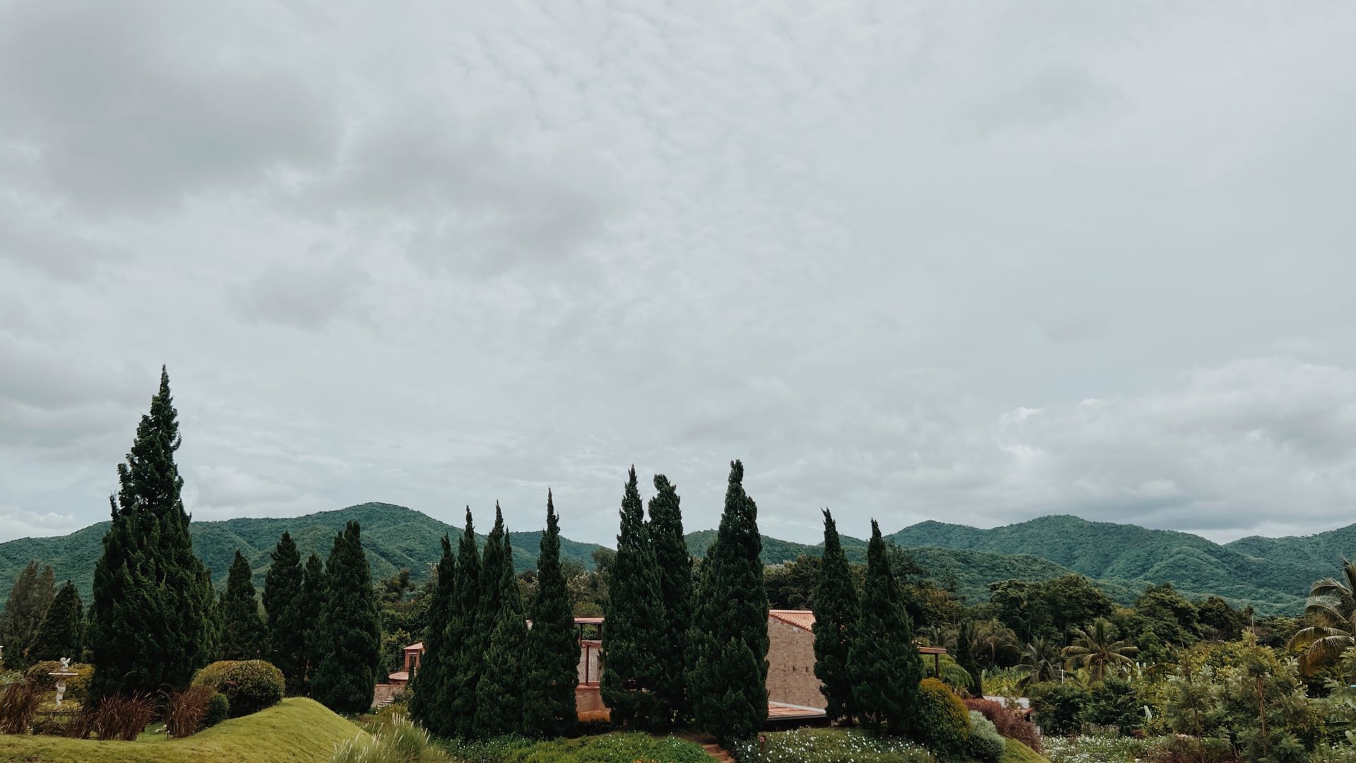 Peaceful green landscape featuring cypress trees and rolling hills under a cloudy sky.