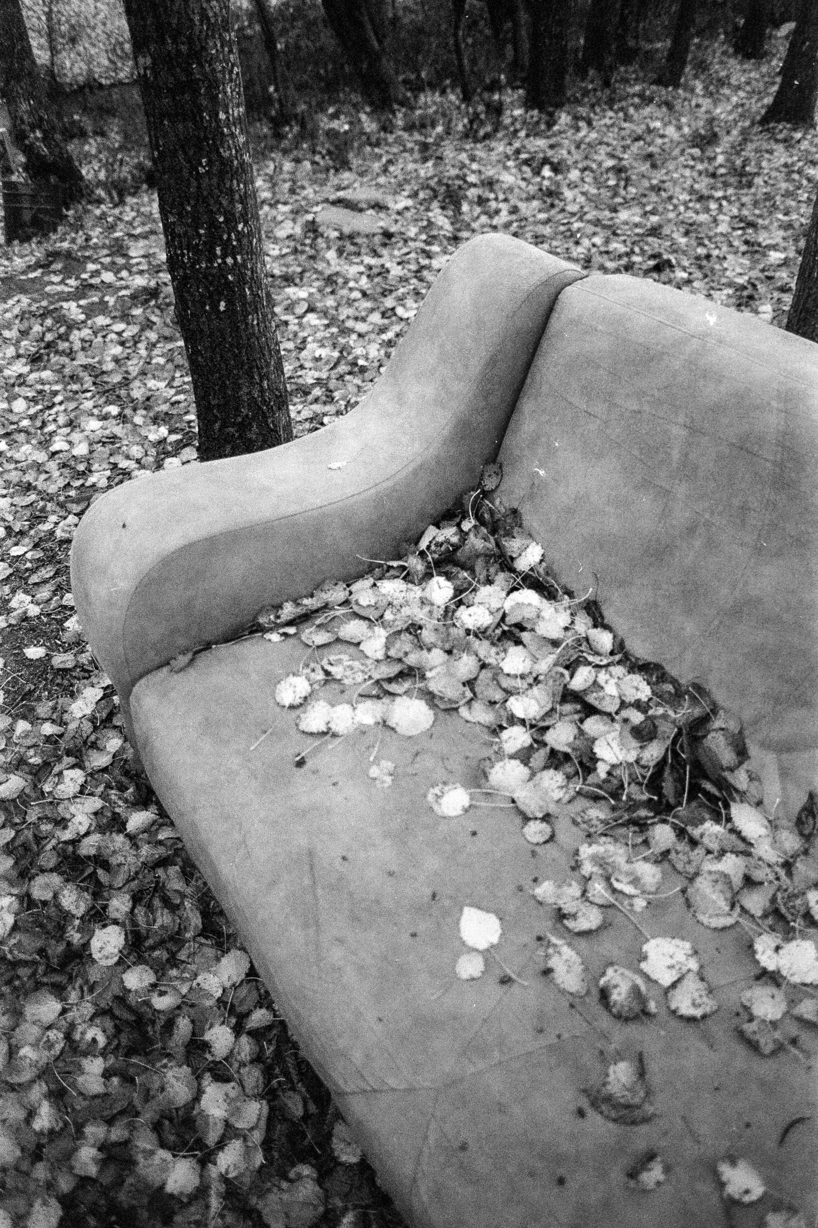 Требования и нормы