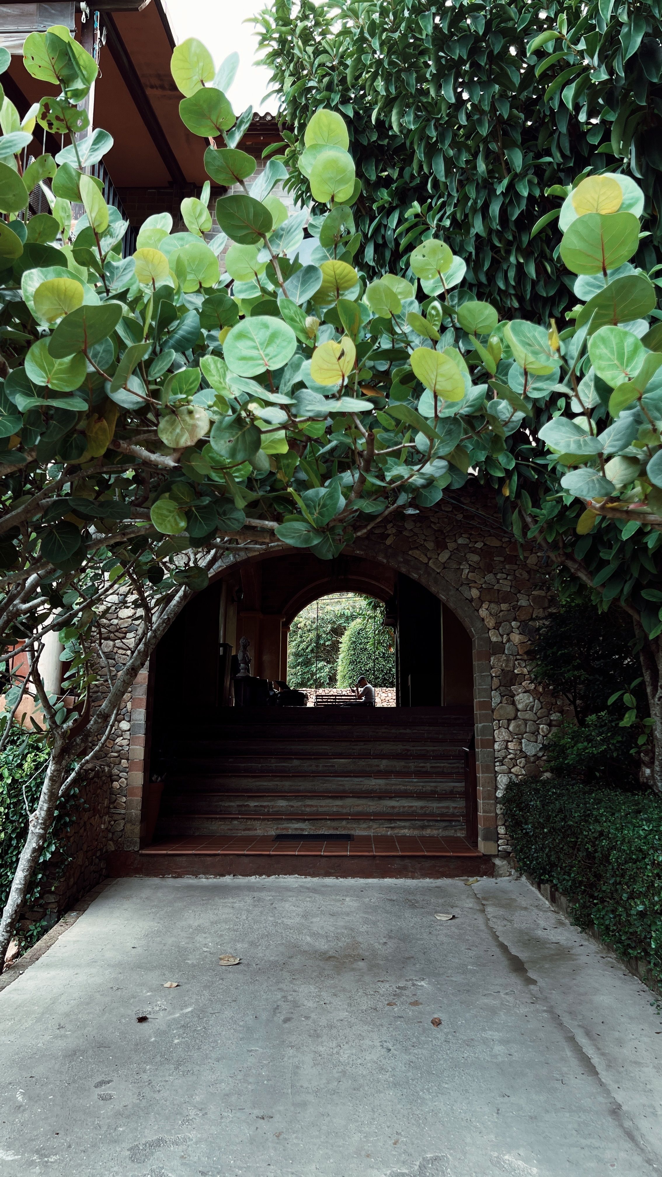Charming Stone Archway with Lush Greenery · Free Stock Photo