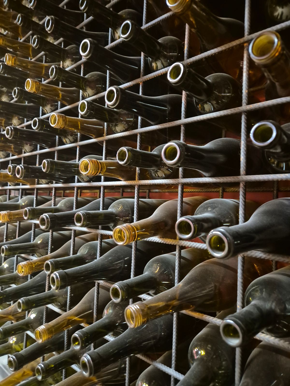 Rows of wine bottles in La Cave, the wine cellar at Hotel Le Grand Chalet