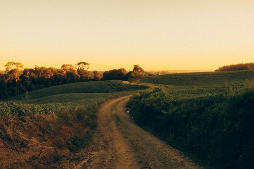 Free A winding dirt road leads through lush green fields at sunset, creating a peaceful rural landscape. Stock Photo