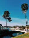 贝洛奥里藏特城市公园里，一座宁静的桥梁映衬在蔚蓝天空下，四周棕榈树环绕