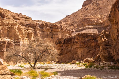 Foto profissional grátis de deserto, natureza