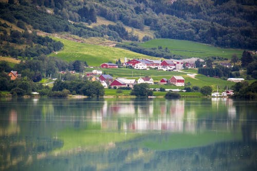 Free stock photo of fjord, lake, landscape
