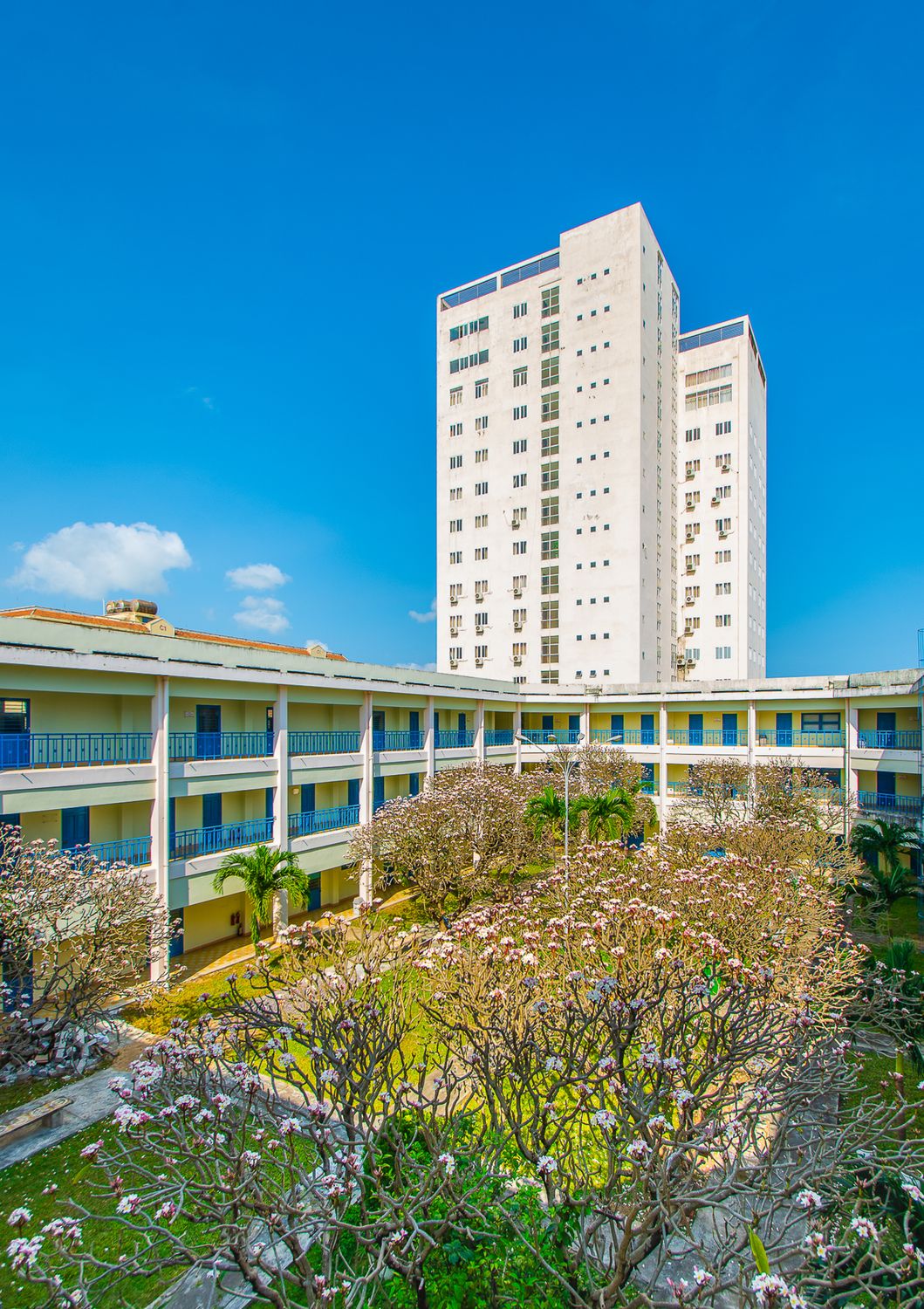 归仁市的现代建筑和庭院 · 免费素材图片