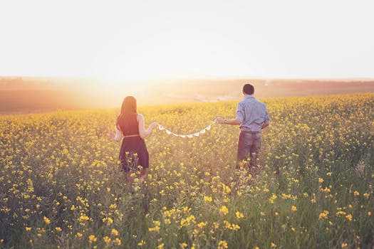 日落时分，一对夫妇手牵红心，在阳光明媚的花田间浪漫漫步