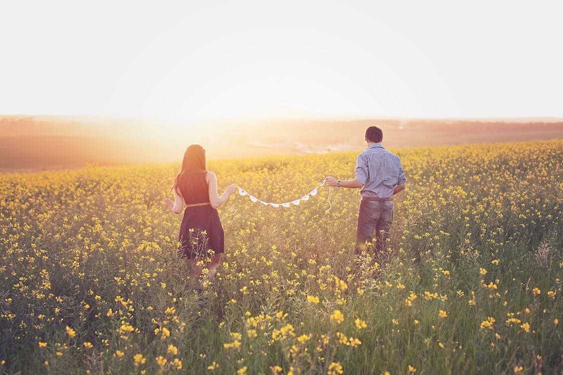 무료 여자와 남자 노란색 꽃잎이 달린 꽃밭을 걷고 스톡 사진