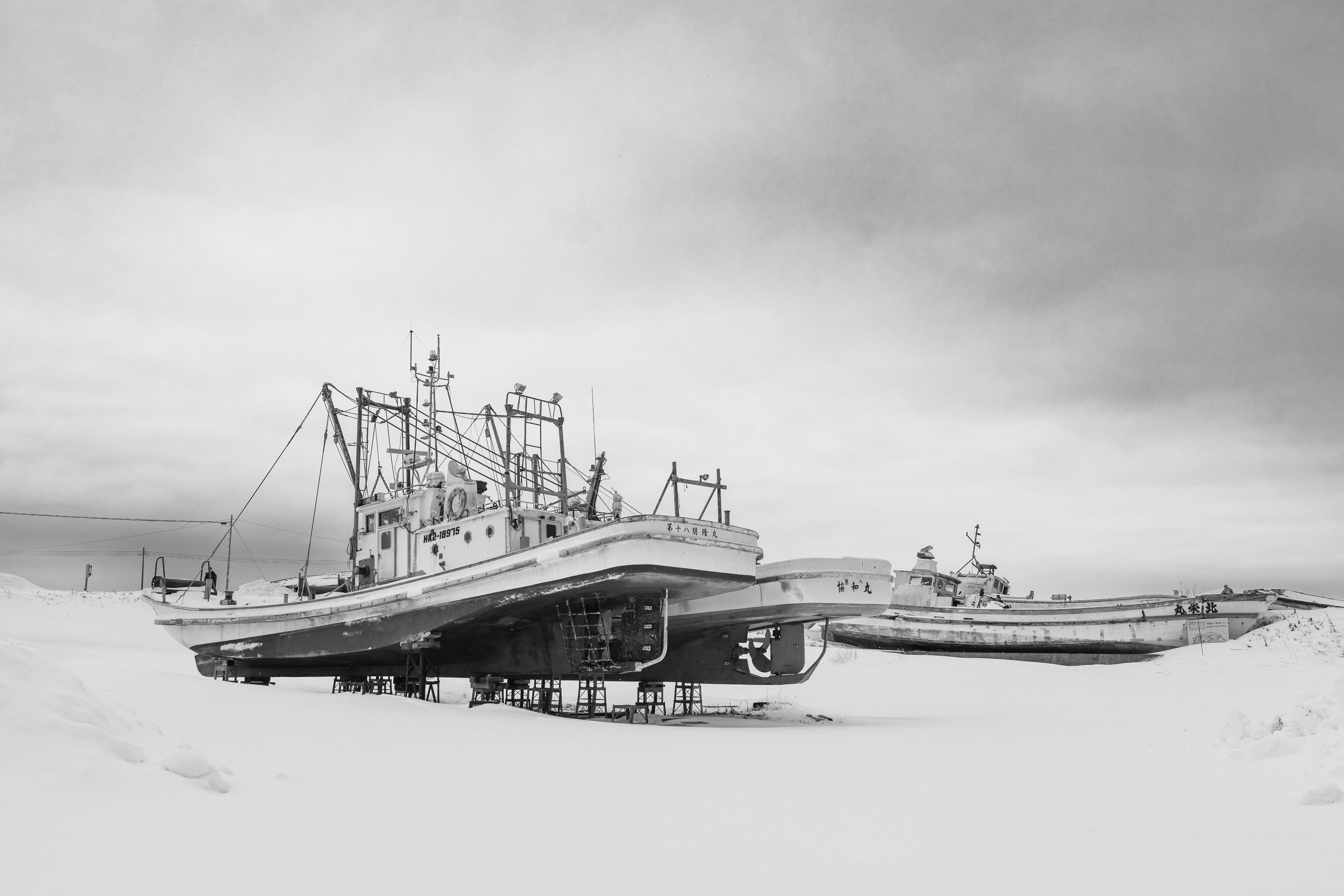 ARGO Commits to Commercial Fleet Market — Photo by Phil Evenden on Pexels