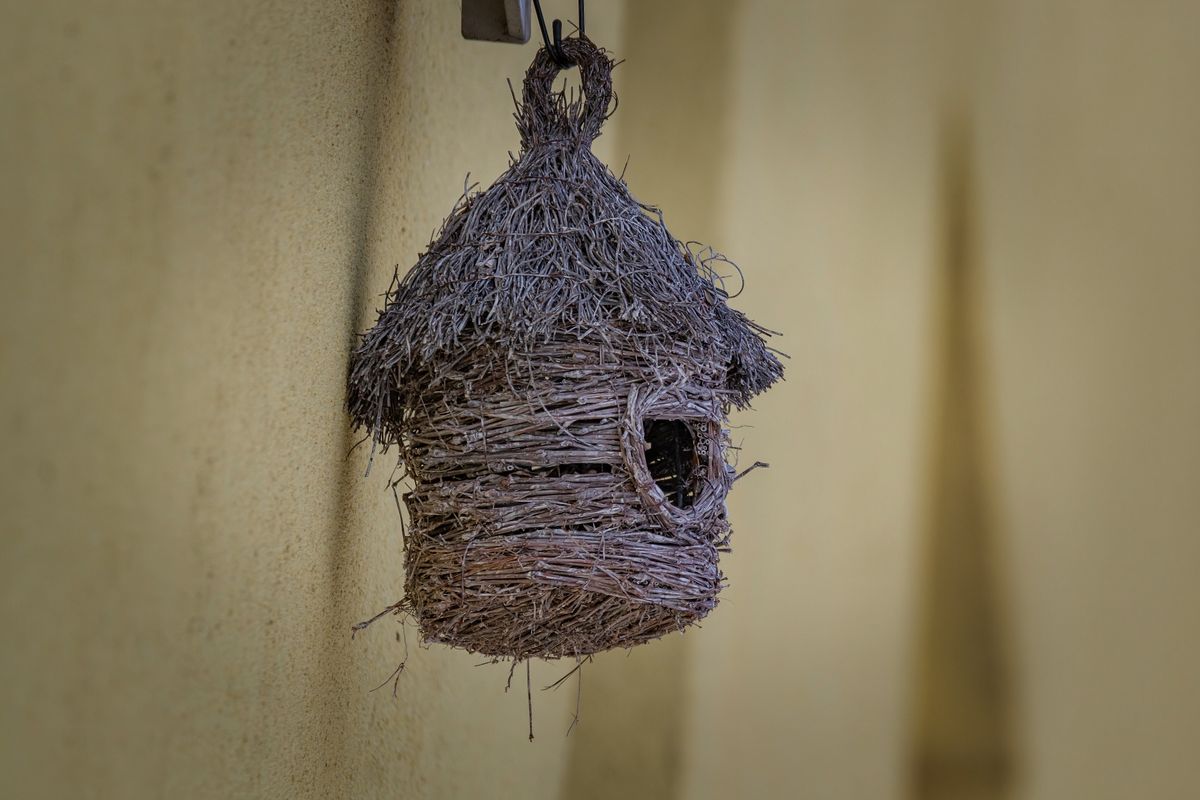 DIY-Vogelhaus bauen: Einfache Anleitung für Anfänger — Fertiges Werk