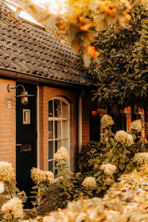 Free A quaint brick cottage with hydrangea garden in warm late summer light, Nederland. Stock Photo