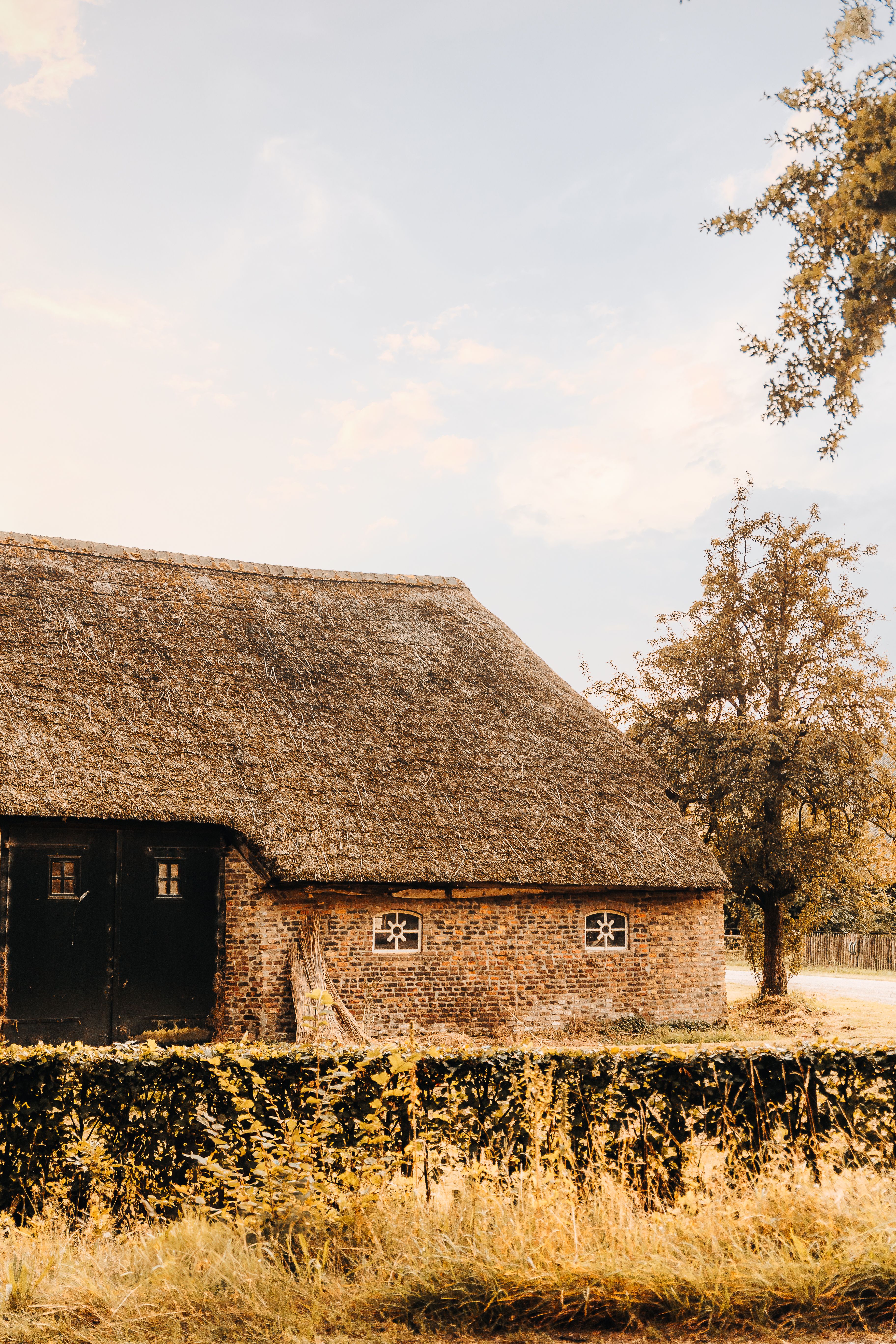 Photo by Eline Spee on pexels